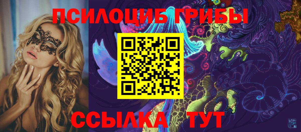 Псилоцибиновые грибы MAGIC MUSHROOMS Зима