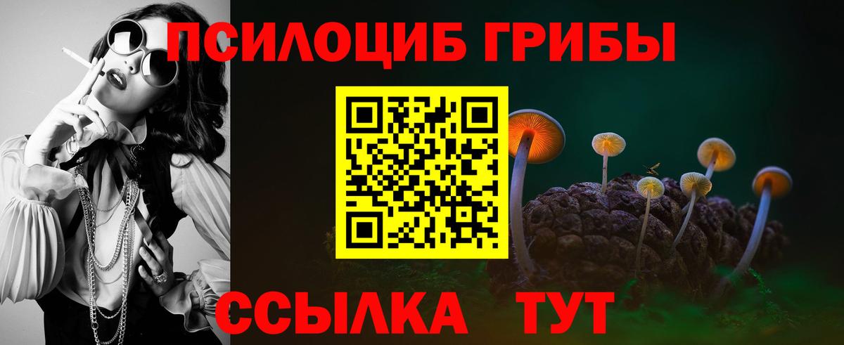 Псилоцибиновые грибы Cubensis  Вход с VPN  Зима  Галлюциногенные грибы GOLDEN TEACHER 